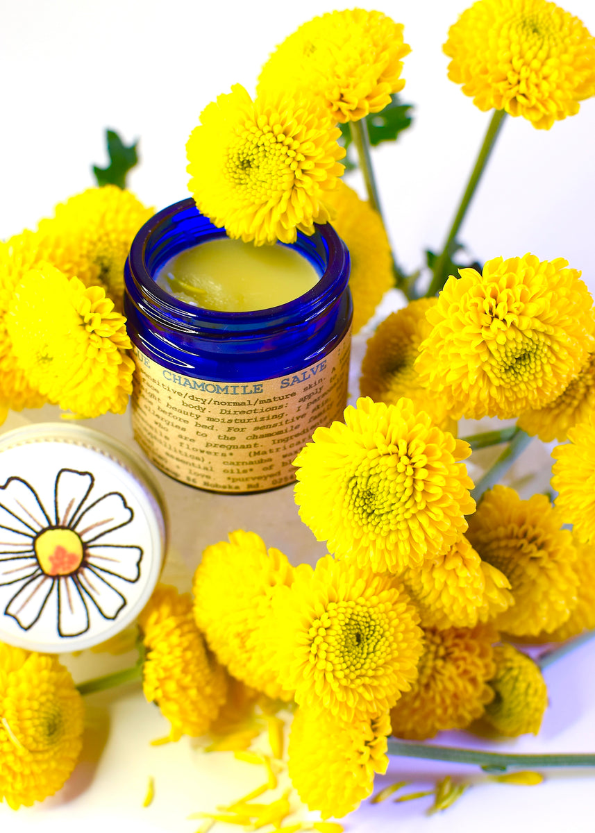 Blue Chamomile Salve – plant makeup