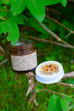 Reishi Honey Mask