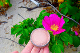 Pink Rose Blush