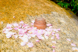 Pink Rose Shimmer Balm