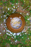 Rosa Multiflora Face + Body Mist
