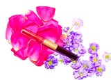 Lip Gloss Fantasy Wand