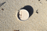 White Rose Shimmer Powder