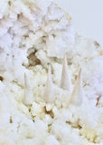 Sage + Copal Incense