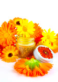 Calendula Balm