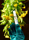 Tansy Face Mist