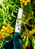 Tansy Face Mist