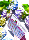 MINI PLANT MAKEUP CATALOG