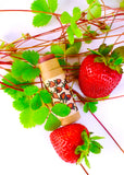 Strawberry Lipstick