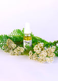 Yarrow Beauty Serum