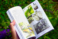 Plant Makeup Catalog 2020 // Soft Cover Book