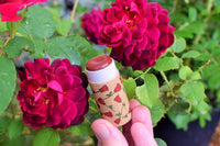 Red Rose Gloss Stick