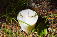 Forest Votive Candle