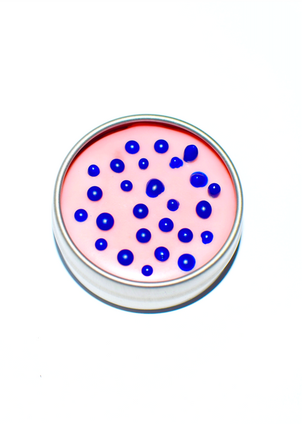 asteroid belt object 41 – plant makeup